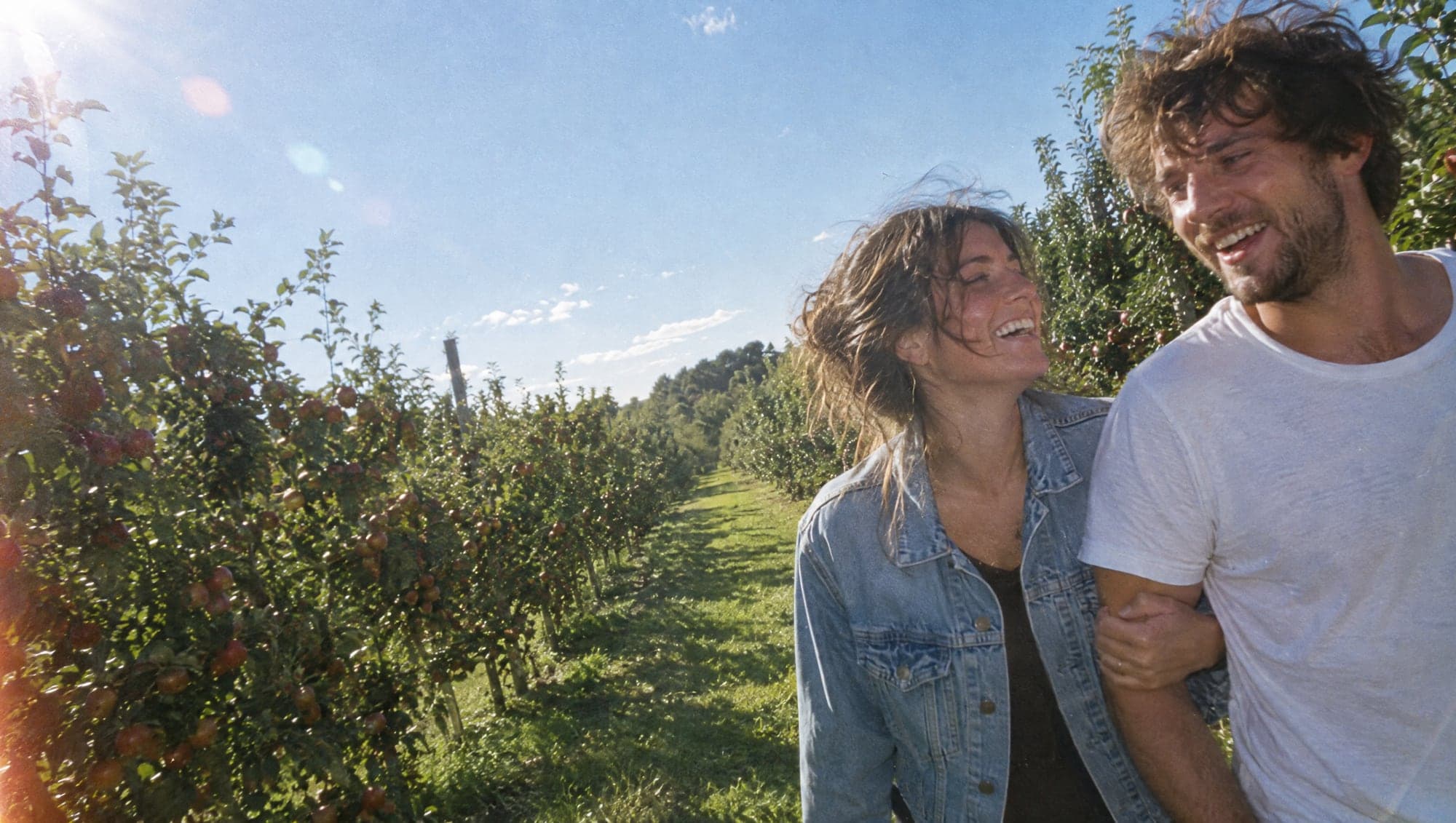 Two friends walking arm in arm between rows of apple trees in the sun